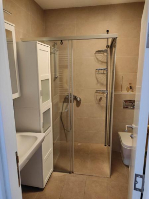 Vracar apartment